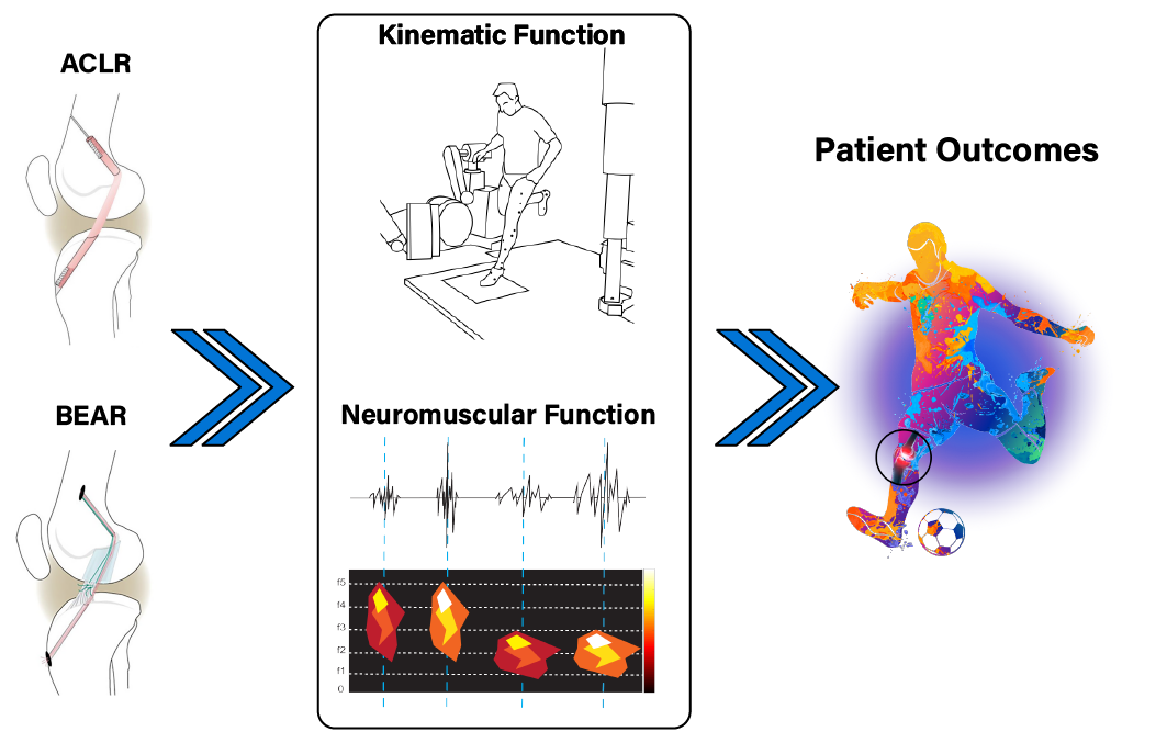 graphic illustrating knee surgery outcomes