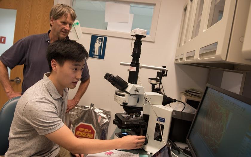 Researchers in a lab look at something on a microscope