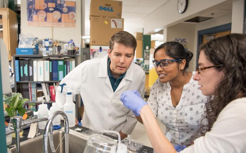 Researchers look closely at something that one of the researchers is holding