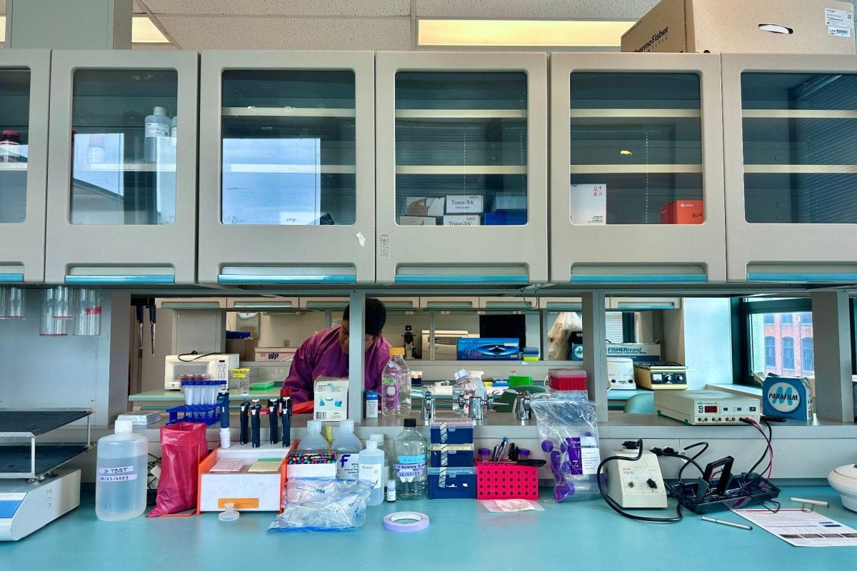 close up of a brightly lit laboratory table