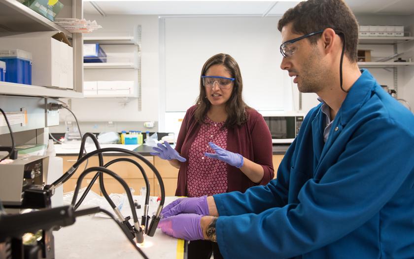 Researchers in a lab look at something under a concentrated light
