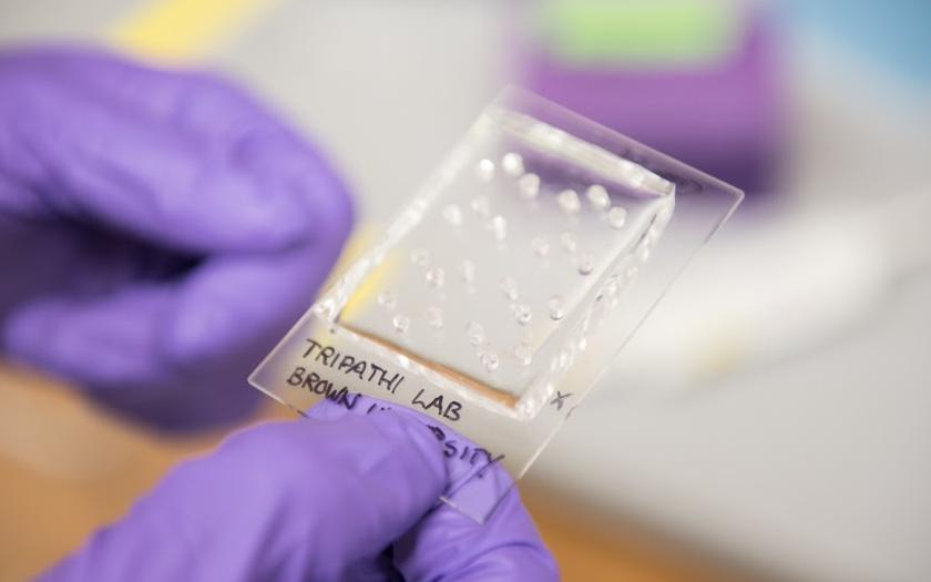 Microfluids in glass slides in the hands of researchers