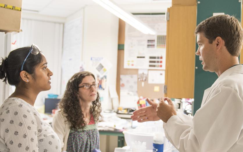 Three researchers discussing research
