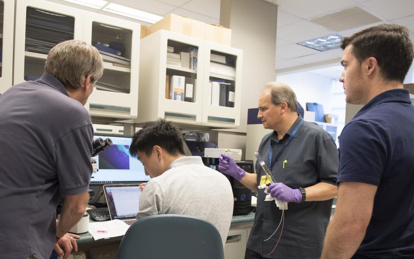 Four researchers in a lab