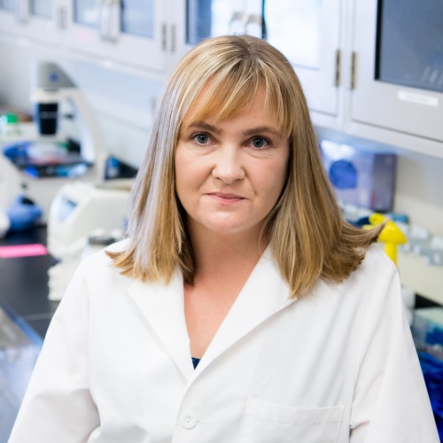 head and shoulders portrait of amanda jamieson