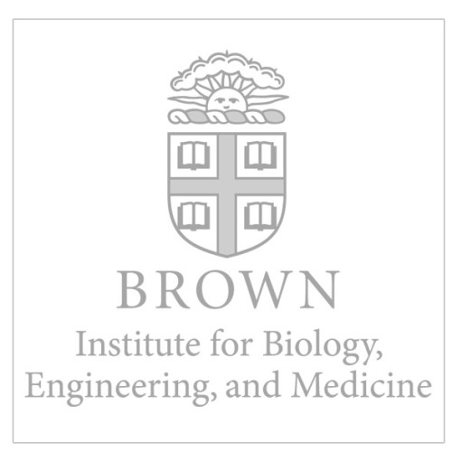 graphic placeholder display brown university's shield 
