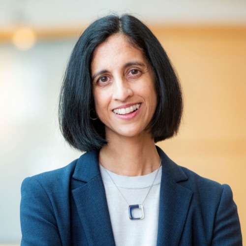 head and shoulders portrait of Tejal Desai